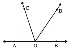 RD Sharma Class 9 Book Chapter 10 Congruent Triangles