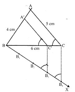 RD Sharma Class 10 Solutions Constructions Exercise 11.2