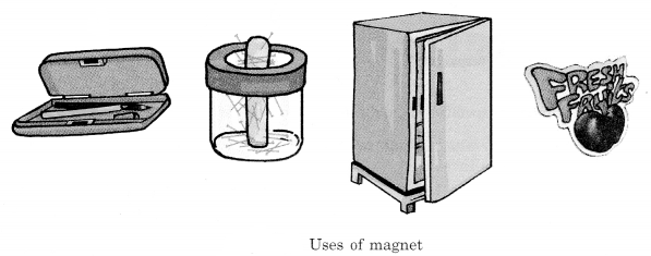 Fun with Magnets Class 6 Notes Science Chapter 13 1