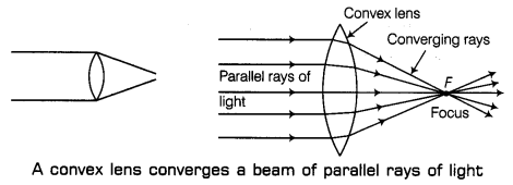 Light Class 7 Notes Science Chapter 15 4
