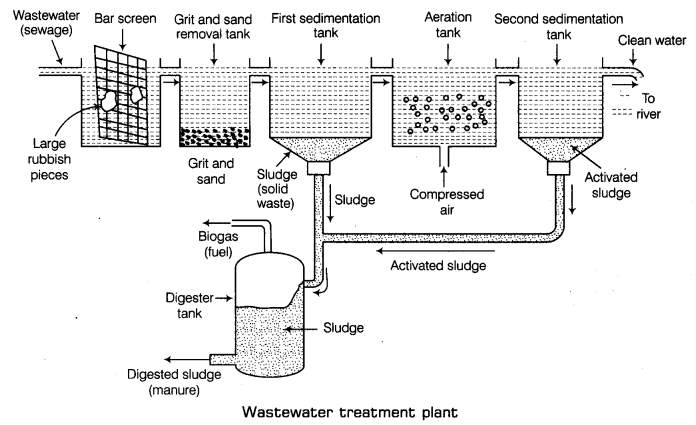 Waste Water Story Class 7 Notes Science Chapter 18 1