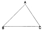The Triangle and its Properties Class 7 Notes Maths Chapter 6 1