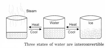 Water Class 6 Notes Science Chapter 14 1