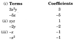 Algebraic Expressions and Identities NCERT Extra Questions for Class 8 Maths Q3