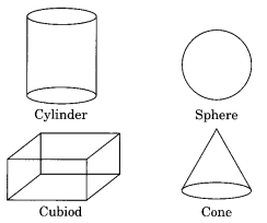 Visualising Solid Shapes NCERT Extra Questions for Class 8 Maths Q1