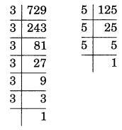 Exponents and Powers Class 7 Extra Questions Maths Chapter 13 Q11