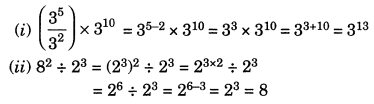 Exponents and Powers Class 7 Extra Questions Maths Chapter 13 Q10.1