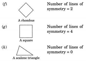 Symmetry Class 7 Extra Questions Maths Chapter 14 Q12.1