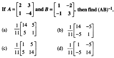 Maths MCQs for Class 12 with Answers Chapter 4 Determinants Q39