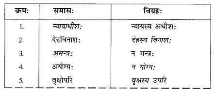 Abhyasvan Bhav Sanskrit Class 10 Solutions Chapter 7 समासा 1.2