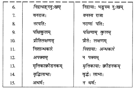 Abhyasvan Bhav Sanskrit Class 10 Solutions Chapter 7 समासा 1.3