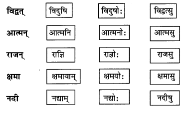 Abhyasvan Bhav Sanskrit Class 9 Solutions Chapter 6 कारकोपपदविभक्तिः 19
