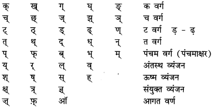 CBSE Class 7 Hindi Grammar वर्ण विचार 1
