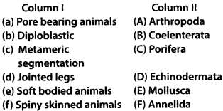 NCERT Exemplar Class 9 Science Chapter 7 Diversity in Living Organisms q39