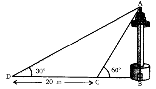 NCERT Solutions For Class 10 Maths Chapter 9 Some Applications of Trigonometry Ex 9.1 Q11