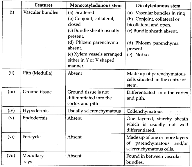 NCERT Solutions For Class 11 Biology Anatomy of Flowering Plants Q4.3