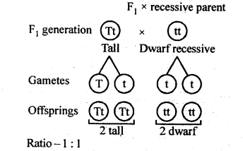 NCERT Solutions For Class 12 Biology Principles of Inheritance and Variation Q5