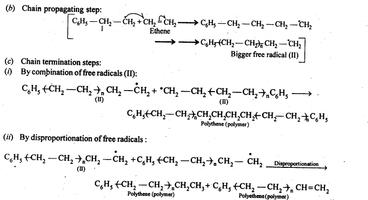 NCERT Solutions For Class 12 Chemistry Chapter 15 Polymers Exercises Q10.1