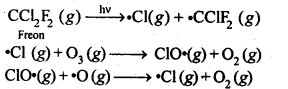 NCERT Solutions For Class 12 Chemistry Chapter 7 The p Block Elements Exercises Q20