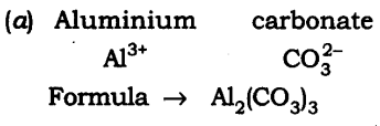 NCERT Solutions For Class 9 Science Chapter 3 Atoms and Molecules SAQ Q19