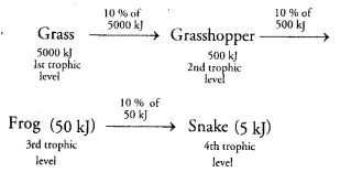 NCERT Solutions for Class 10 Science Chapter 15 Our Environment MCQs Q16