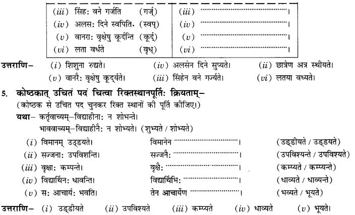 NCERT Solutions for Class 10th Sanskrit Chapter 5 वाच्यम् 13