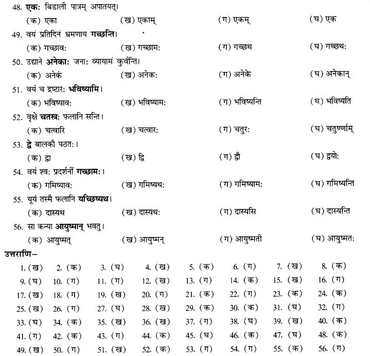 NCERT Solutions for Class 10th Sanskrit Chapter 8 Vachana Lingam Purusha Lakaara Dusya Samsheedhanam 19