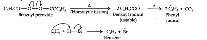 NCERT Solutions for Class 11 Chemistry Chapter 13 Hydrocarbons Q16.1