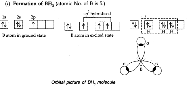 NCERT Solutions for Class 11 Chemistry Chapter 4 Chemical Bonding and Molecular Structure LAQ Q3