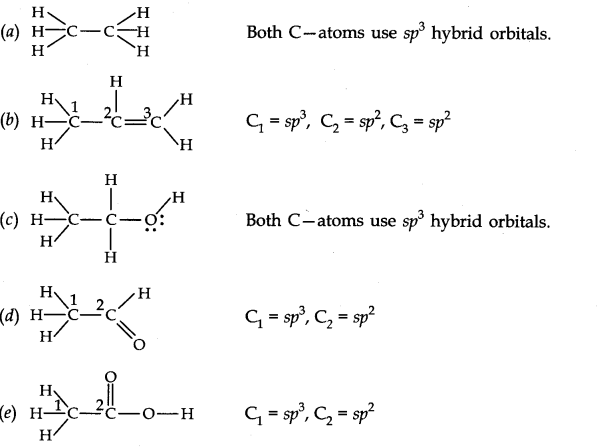 NCERT Solutions for Class 11 Chemistry Chapter 4 Chemical Bonding and Molecular Structure Q30