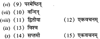 NCERT Solutions for Class 12 Sanskrit Chapter 2 सूर्यः एव प्रकृतेः आधारः 12