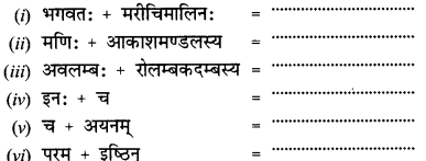 NCERT Solutions for Class 12 Sanskrit Chapter 2 सूर्यः एव प्रकृतेः आधारः 13
