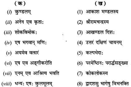 NCERT Solutions for Class 12 Sanskrit Chapter 2 सूर्यः एव प्रकृतेः आधारः 15