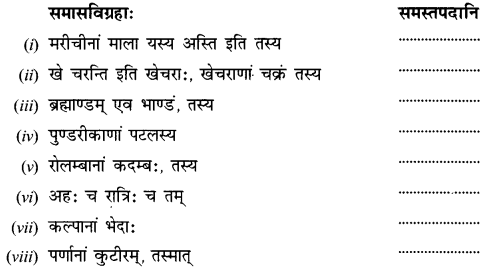 NCERT Solutions for Class 12 Sanskrit Chapter 2 सूर्यः एव प्रकृतेः आधारः 6