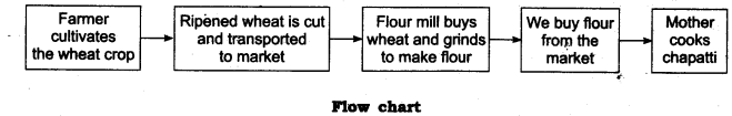 NCERT Solutions for Class 6 Science Chapter 1 Food Where Does It Come From LAQ Q1