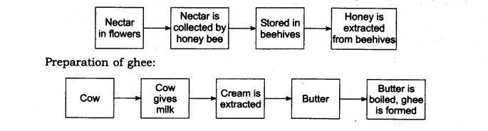 NCERT Solutions for Class 6 Science Chapter 1 Food Where Does It Come From LAQ Q2