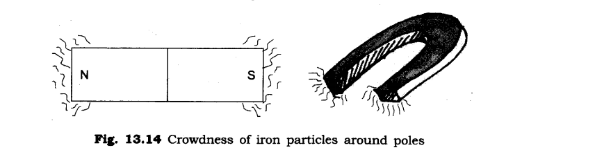 NCERT Solutions for Class 6 Science Chapter 13 Fun with Magnets LAQ Q1