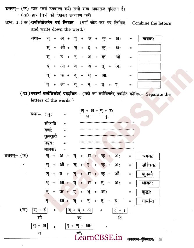 NCERT Solutions for Class 6th Sanskrit Chapter 1 - अकारान्त - पुल्लिङ्ग 5