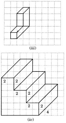 NCERT Solutions for Class 7 Maths Chapter 15 Visualising Solid Shapes Ex 15.2 3