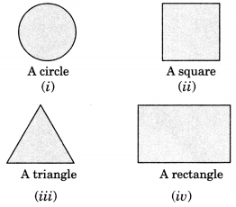 NCERT Solutions for Class 7 Maths Chapter 15 Visualising Solid Shapes Ex 15.4 2