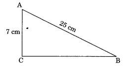 NCERT Solutions for Class 7 Maths Chapter 6 The Triangle and its Properties Ex 6.5 2