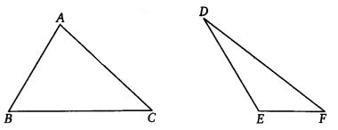 NCERT Solutions for Class 7 Maths Chapter 7 Congruence of Triangles Ex 7.2 Q8