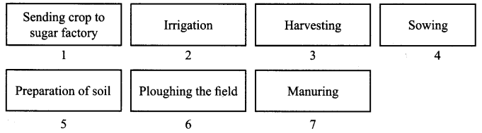 NCERT Solutions for Class 8 Science Chapter 1 Crop Production and Management 5 Marks Q4