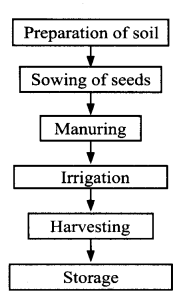 NCERT Solutions for Class 8 Science Chapter 1 Crop Production and Management 5 Marks Q5.1