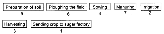 NCERT Solutions for Class 8 Science Chapter 1 Crop Production and Management Q10.1
