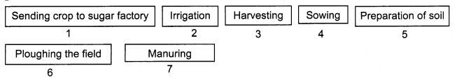 NCERT Solutions for Class 8 Science Chapter 1 Crop Production and Management Q10