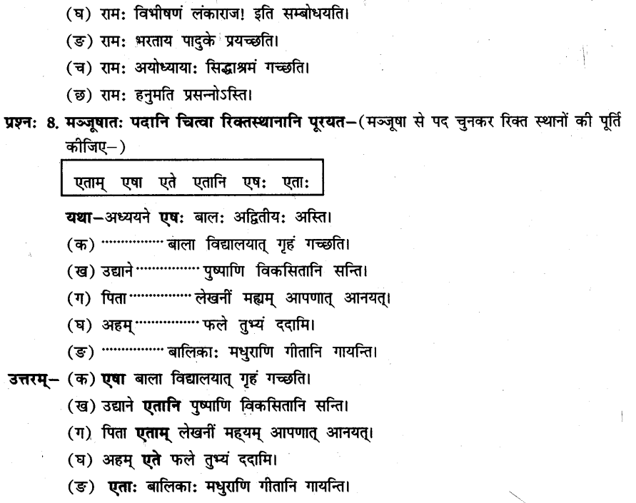 NCERT Solutions for Class 8th Sanskrit Chapter 10 अशोकवनिका 6