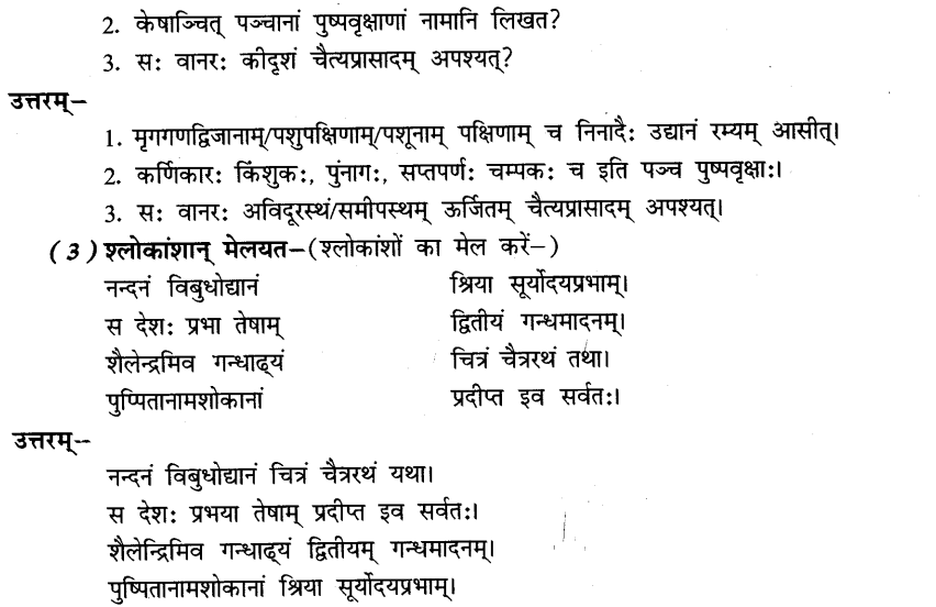 NCERT Solutions for Class 8th Sanskrit Chapter 10 अशोकवनिका 8