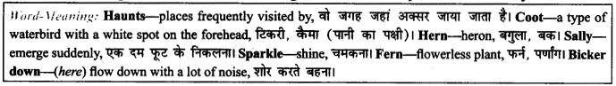NCERT Solutions for Class 9 English Literature Chapter 6 The Brook Para Phrase Q1