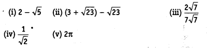 NCERT Solutions for Class 9 Maths Chapter 1 Number Systems Ex 1.5 Q1